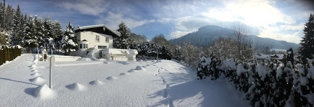 Jack'S Lake & Mountain Hostel Kitzbuehel Dış mekan fotoğraf